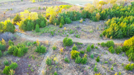 Lamar County Acreage for Sale Paris Tx - image 20