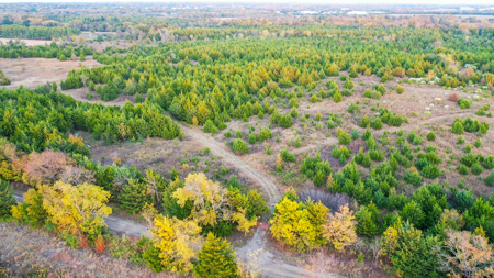 Lamar County Acreage for Sale Paris Tx - image 39