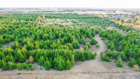 Lamar County Acreage for Sale Paris Tx - image 30