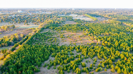 Lamar County Acreage for Sale Paris Tx - image 18