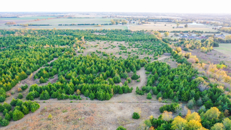 Lamar County Acreage for Sale Paris Tx - image 31