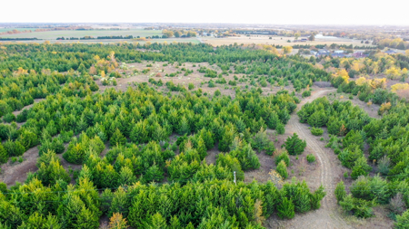 Lamar County Acreage for Sale Paris Tx - image 32