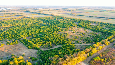 Lamar County Acreage for Sale Paris Tx - image 13
