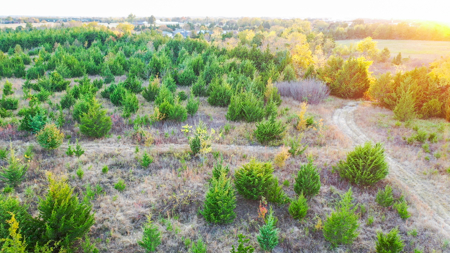 Lamar County Acreage for Sale Paris Tx - image 27