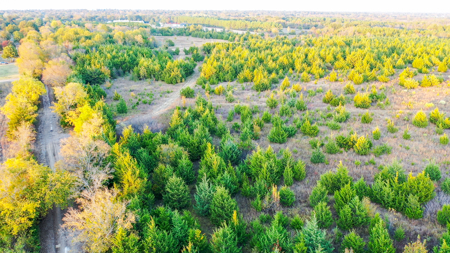 Lamar County Acreage for Sale Paris Tx - image 22