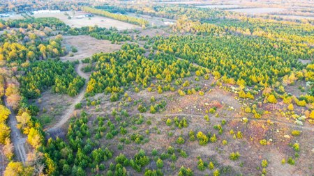 Lamar County Acreage for Sale Paris Tx - image 23