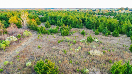 Lamar County Acreage for Sale Paris Tx - image 34