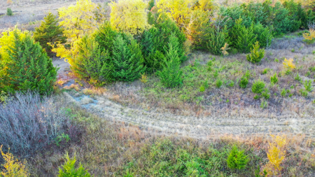 Lamar County Acreage for Sale Paris Tx - image 25