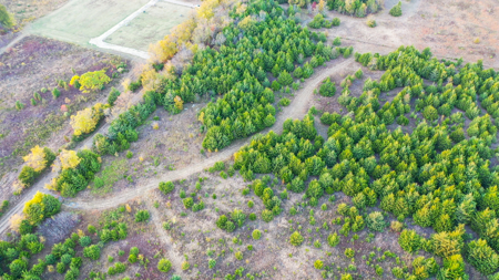 Lamar County Acreage for Sale Paris Tx - image 37