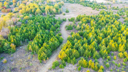 Lamar County Acreage for Sale Paris Tx - image 24