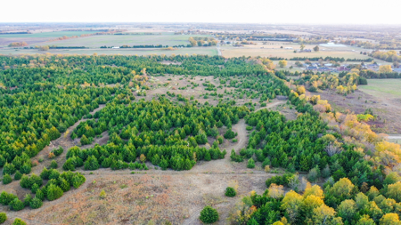 Lamar County Acreage for Sale Paris Tx - image 4