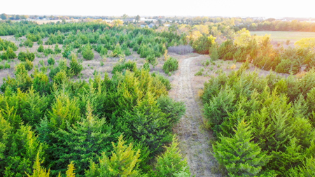 Lamar County Acreage for Sale Paris Tx - image 28