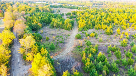 Lamar County Acreage for Sale Paris Tx - image 21