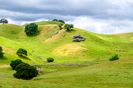 Vacaville, CA Luxury Country Estate Lots for Sale Horse Friendly - image 2