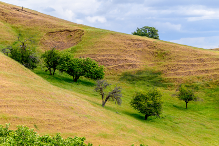Vacaville, CA Luxury Country Estate Lots for Sale Horse Friendly - image 6
