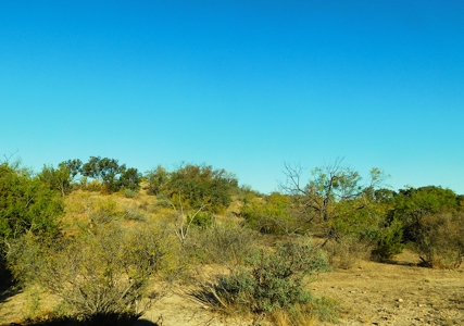 Prime Hunting Property Near Jim Ned River and Lake Brownwood Tx - image 2