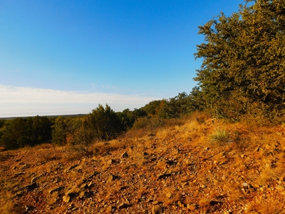 Prime Hunting Property Near Jim Ned River and Lake Brownwood Tx - image 4
