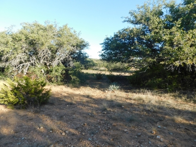 Prime Hunting Property Near Jim Ned River and Lake Brownwood Tx - image 14