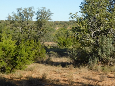 Prime Hunting Property Near Jim Ned River and Lake Brownwood Tx - image 17