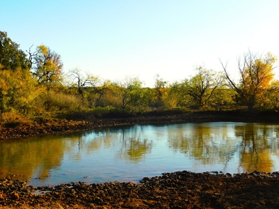 Prime Hunting Property Near Jim Ned River and Lake Brownwood Tx - image 1