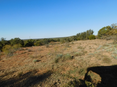 Prime Hunting Property Near Jim Ned River and Lake Brownwood Tx - image 13