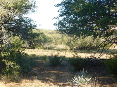 Prime Hunting Property Near Jim Ned River and Lake Brownwood Tx - image 15