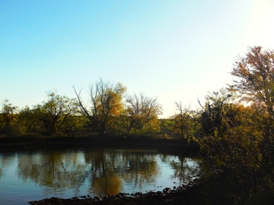 Prime Hunting Property Near Jim Ned River and Lake Brownwood Tx - image 21