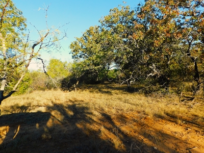 Prime Hunting Property Near Jim Ned River and Lake Brownwood Tx - image 6