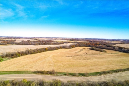Prime 296-Acre Farm, King City, MO - image 29