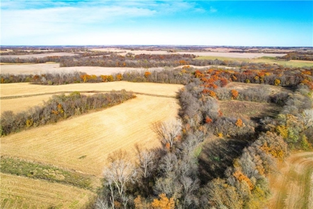 Prime 296-Acre Farm, King City, MO - image 18