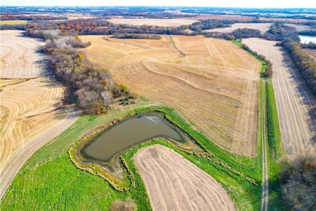 Prime 296-Acre Farm, King City, MO - image 2