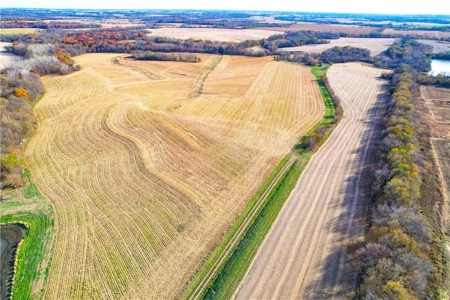 Prime 296-Acre Farm, King City, MO - image 3