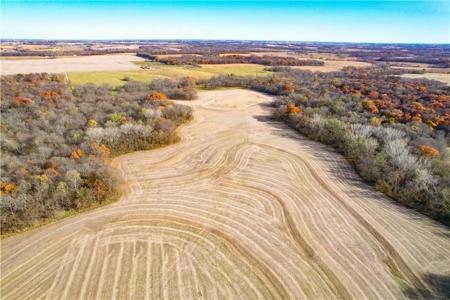 Prime 296-Acre Farm, King City, MO - image 10