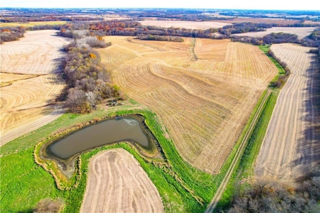 Prime 296-Acre Farm, King City, MO - image 35