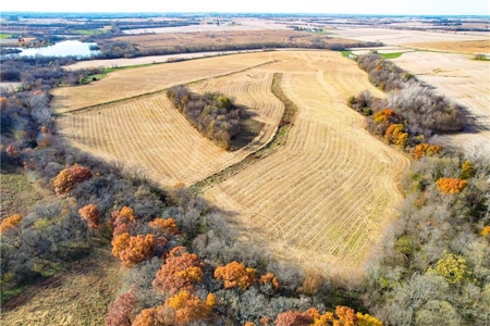 Prime 296-Acre Farm, King City, MO - image 15