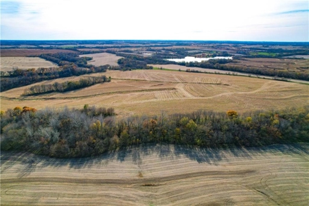 Prime 296-Acre Farm, King City, MO - image 9