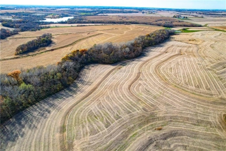 Prime 296-Acre Farm, King City, MO - image 12