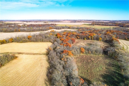 Prime 296-Acre Farm, King City, MO - image 17