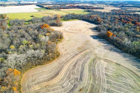 Prime 296-Acre Farm, King City, MO - image 11