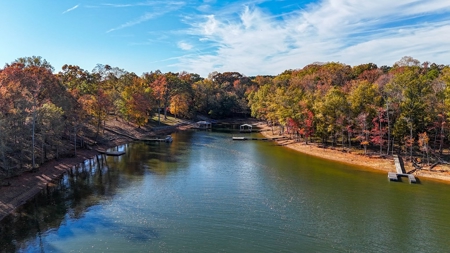 Mid-Century Lakefront Cottage in Merifield Acres – Kerr Lake, VA - image 7