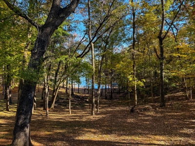 Mid-Century Lakefront Cottage in Merifield Acres – Kerr Lake, VA - image 14