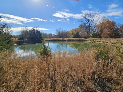 So many possibilities in Cameron, MO! - image 42