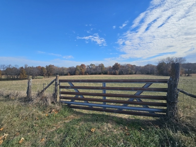 So many possibilities in Cameron, MO! - image 39