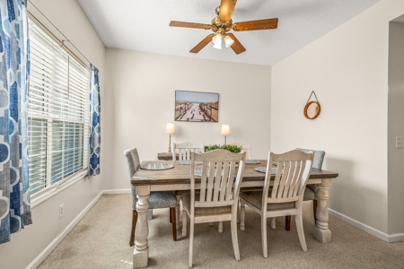Welcome to your coastal retreat at 610 Porpoise Circle! - image 21