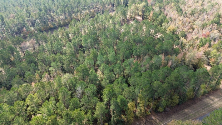 Prime 3.0 Acre Lot for Sale in Ruston, LA