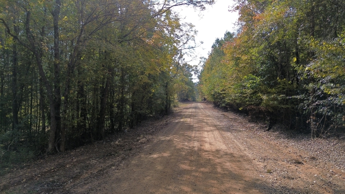 Prime 3.0 Acre Lot for Sale in Ruston, LA