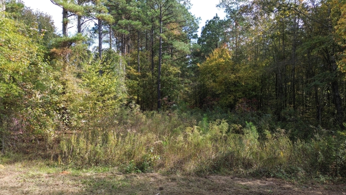 Prime 3.0 Acre Lot for Sale in Ruston, LA