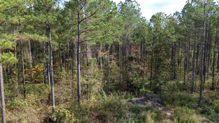 Prime 3.0 Acre Lot for Sale in Ruston, LA