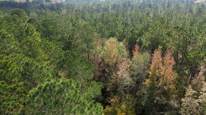 Prime 3.0 Acre Lot for Sale in Ruston, LA