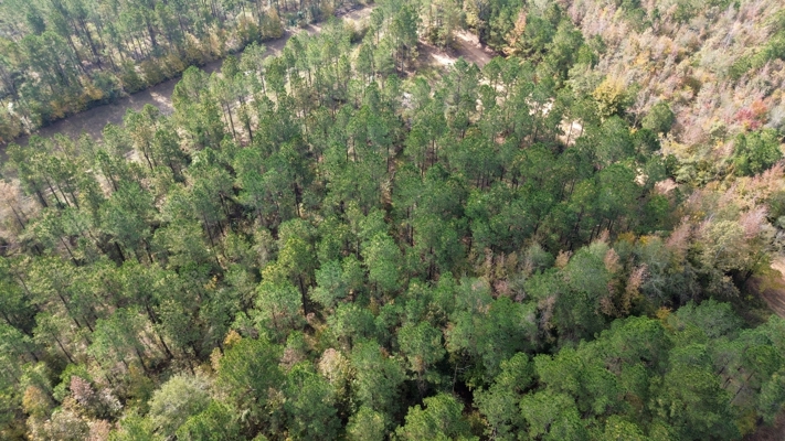 Prime 3.0 Acre Lot for Sale in Ruston, LA